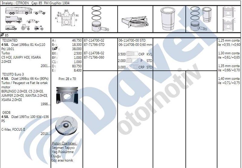 FM 87-71796 STD Piston+Segman 85 Mm C5 / 307/406 /407/Berlingo